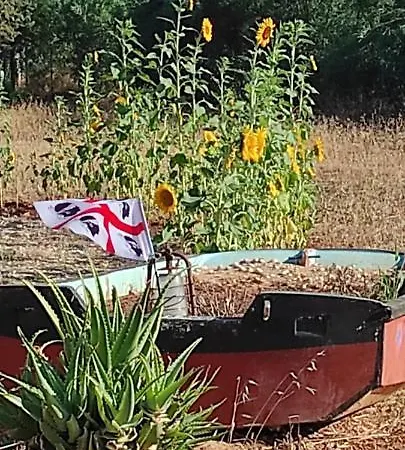 Mareva * Porto Conte