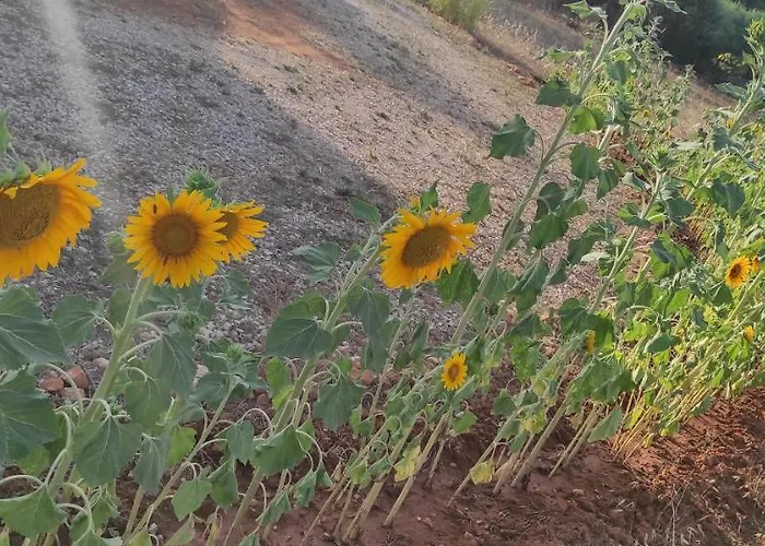 Bed & Breakfast Mareva