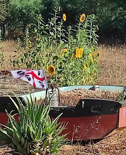 Mareva * Porto Conte