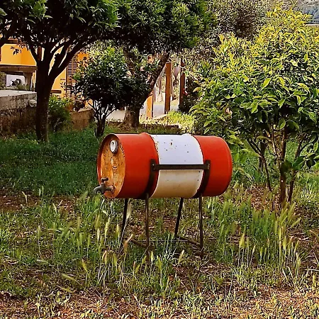 Mareva